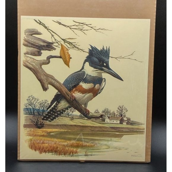 Peterson Print Kingfisher 11 Wide by 12.5 High Inches - Picture 2 of 8